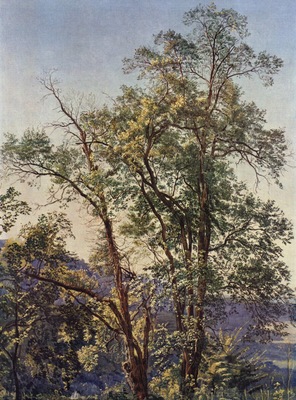 alexander andrejewitsch iwanow