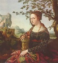 jan van scorel
