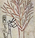 maler der grabkammer des thutmosis iii