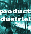 Portal industrie1