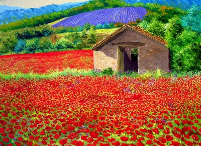 Jean-Marc JANIACZYK "Poppy field"