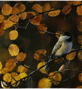 Robin Murray Autumn Glow- Chickadee