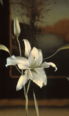 Lilly and Landscape