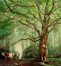 Paul Gosselin - The Plane tree