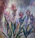 kurkuma flowers