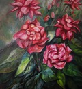 rosses