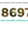 employed citizens who are involved in the cannabis industry
