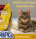 Cat Litter Sri lanka