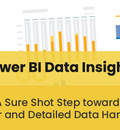 Power BI Data Insights - A Sure Shot Step towards Better and Detailed Data Handling