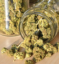 Purchase Strains From the Best Marijuana Dispensary in Santa Ana