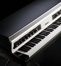 rhodes mk8 electric piano iso postn 768x474 FHmrkRzHMP