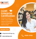 CCNP Certification Course and Training | Network Kings