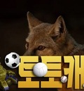 corsac fox 7368515