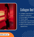 Collagen Bed