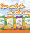 Thiết Kế Logo Hợp Phong Thủy Cho Người Mệnh Mộc