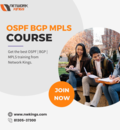 Best OSPF BGP MPLS Course | Network Kings
