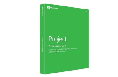 Project 2016 professional