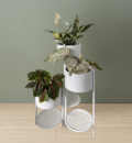 Enhance Your Space with a Stylish Metal Plant Stand