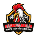 dagacuadaoio