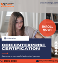 CCIE Enterprise training – Enroll now