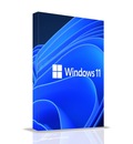 windows 11 pro