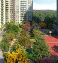 Birla Trimaya