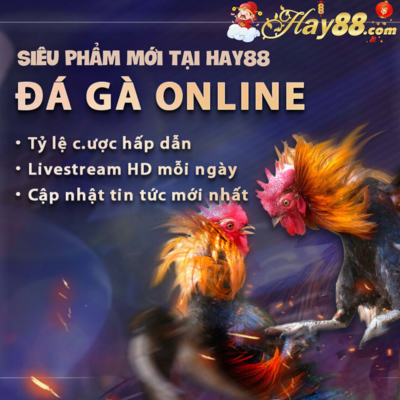 hay88-4