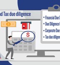 Due Diligence: Expert’s Interview
