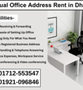 RENT a Professional Virtual Office Address