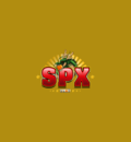 Slot SPX